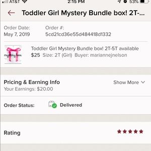 Toddler Girl Mystery Bundle box! 2T-5T available